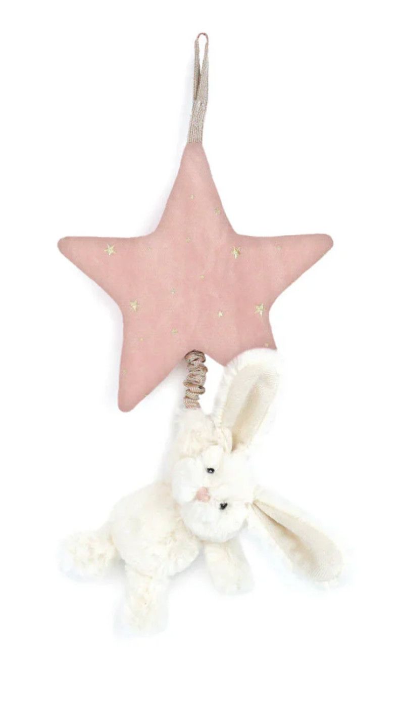 Bunny Star Music Pull Pink