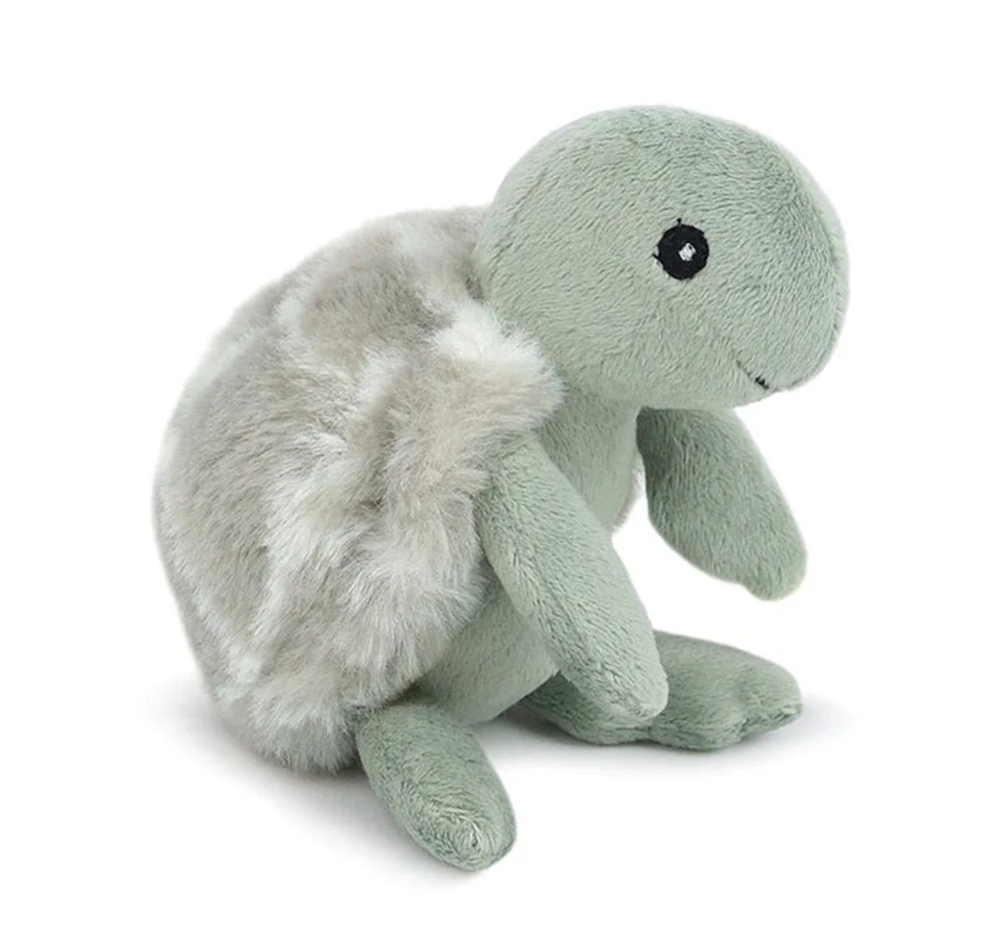 Taylor Turtle Rattle