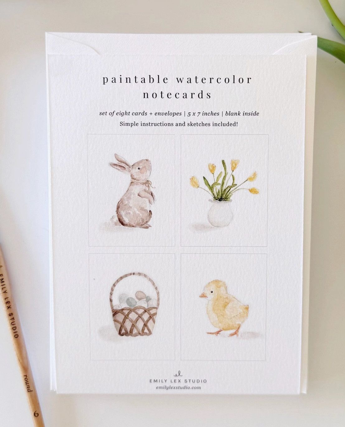 Easter Paintable Notecards