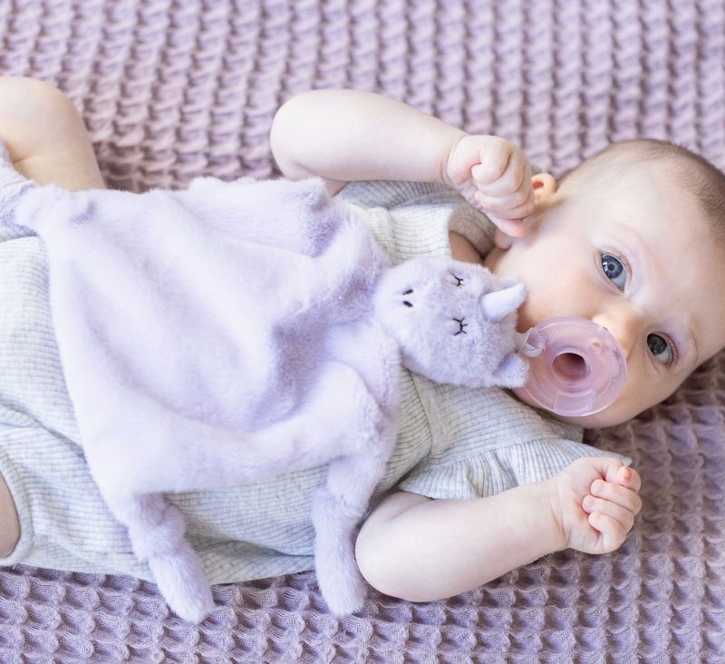 Pacifier Buddy Luna the Unicorn