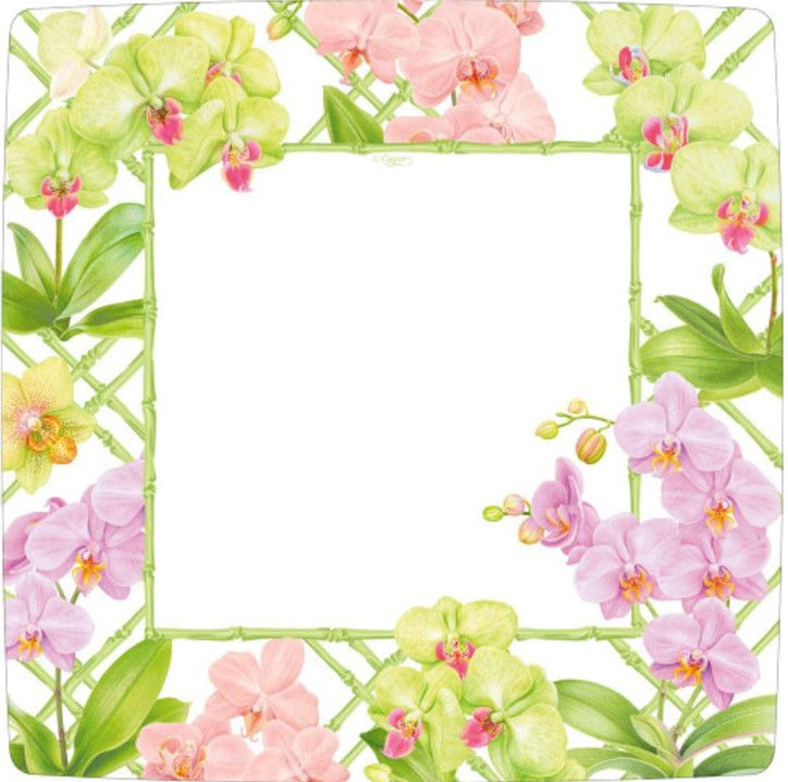 Orchid Conservatory Square Dinner Plates