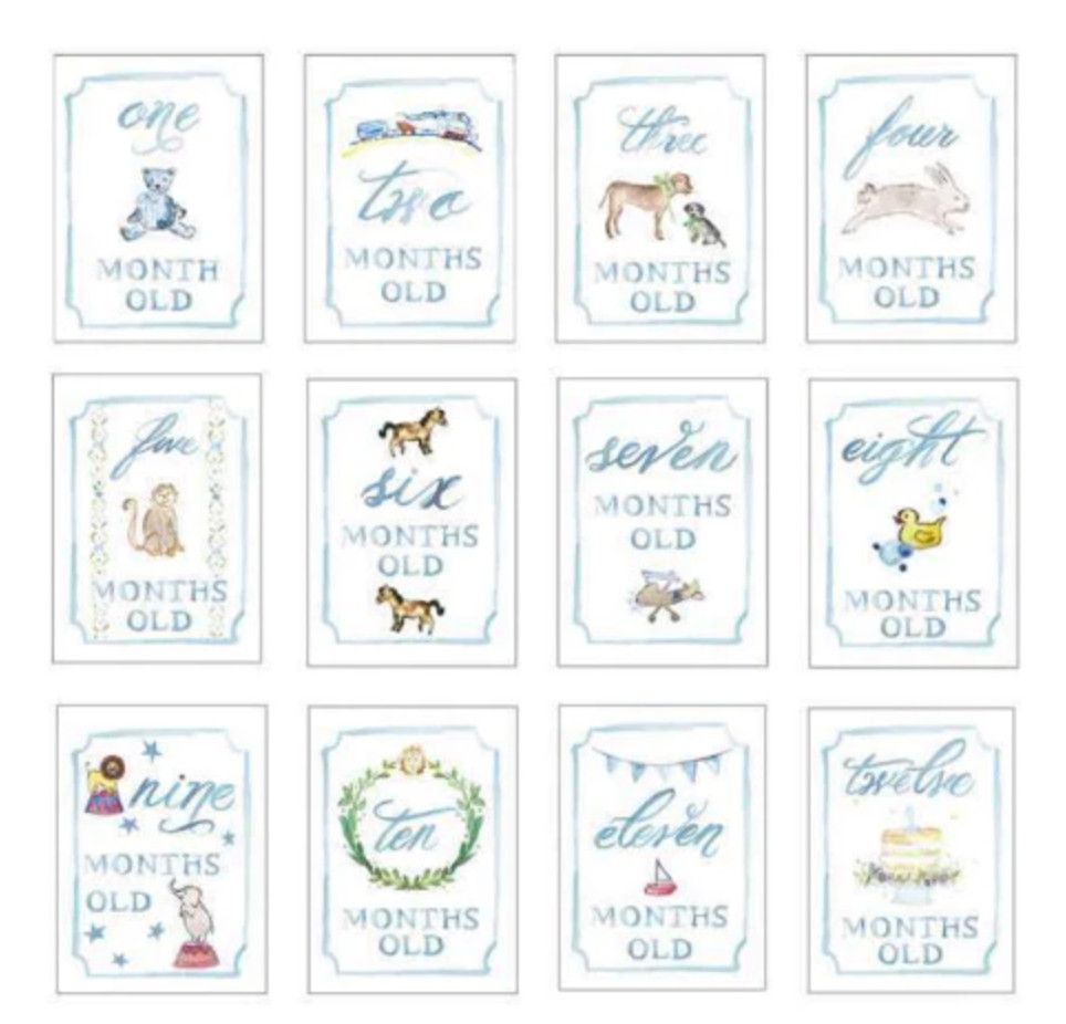 Monthly Milestone Card Set- Blue