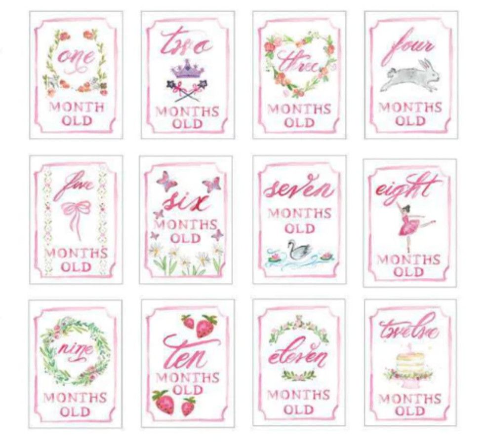 Monthly Milestone Card Set- Pink