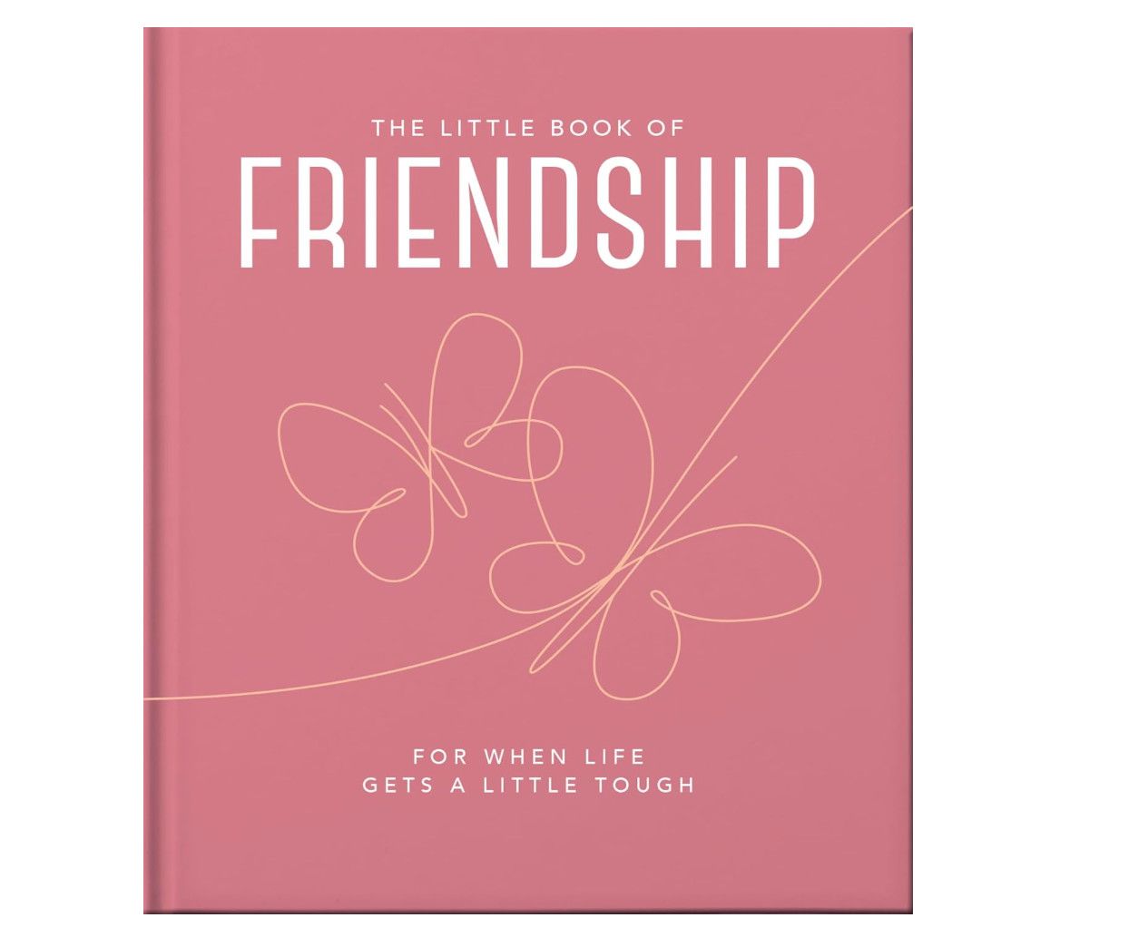 The Little Book of Friendship
