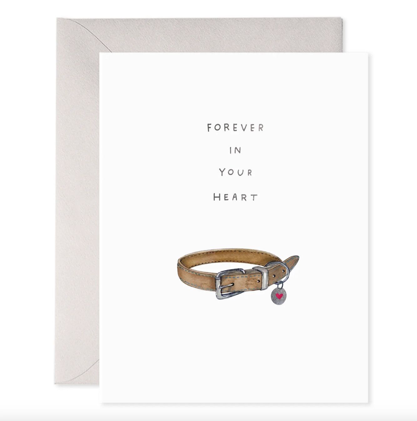 EF Pet Collar
