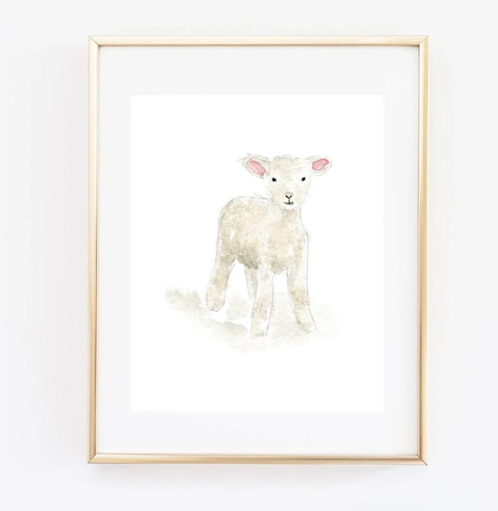 Lamb Art Print