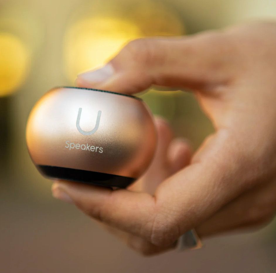 Mini Matte Speaker- Gold