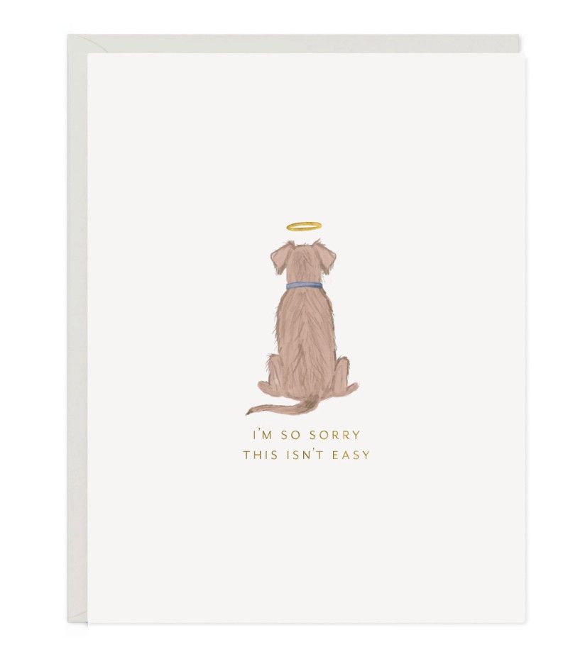 Angel Dog Card