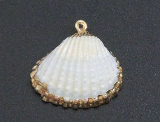 Shell White w/ Gold Trim Charm