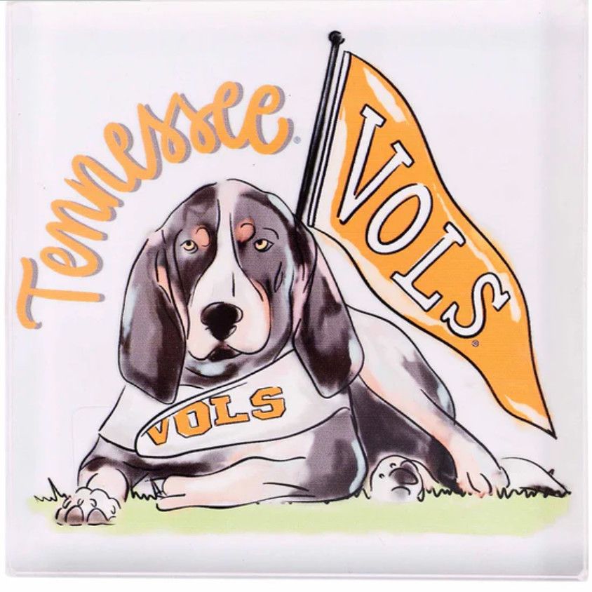 Tennessee Mascot Napkin Weight