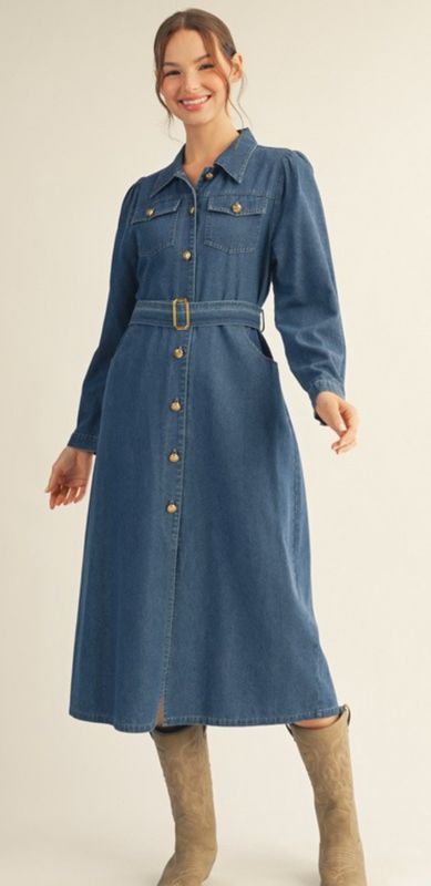 Denim Long Sleeve Maxi Dress