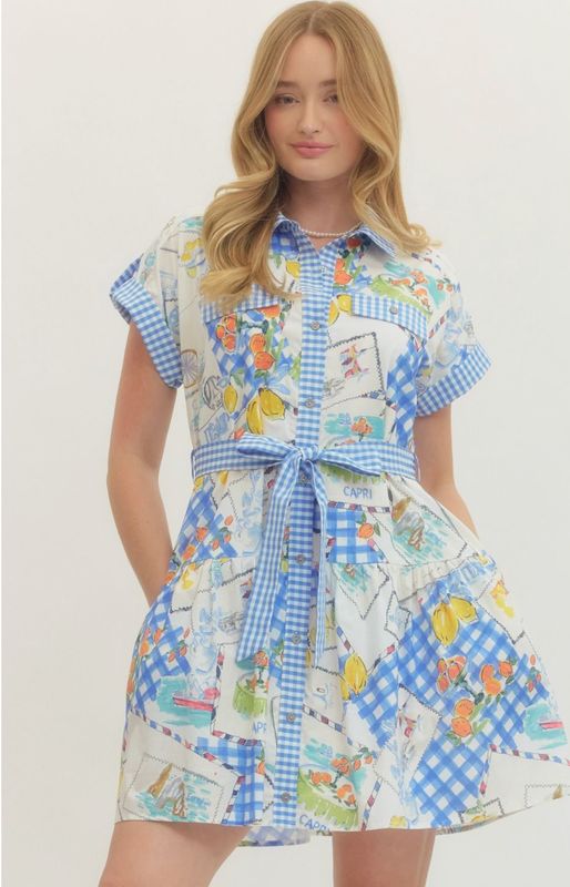 Blue Citrus Print Dress