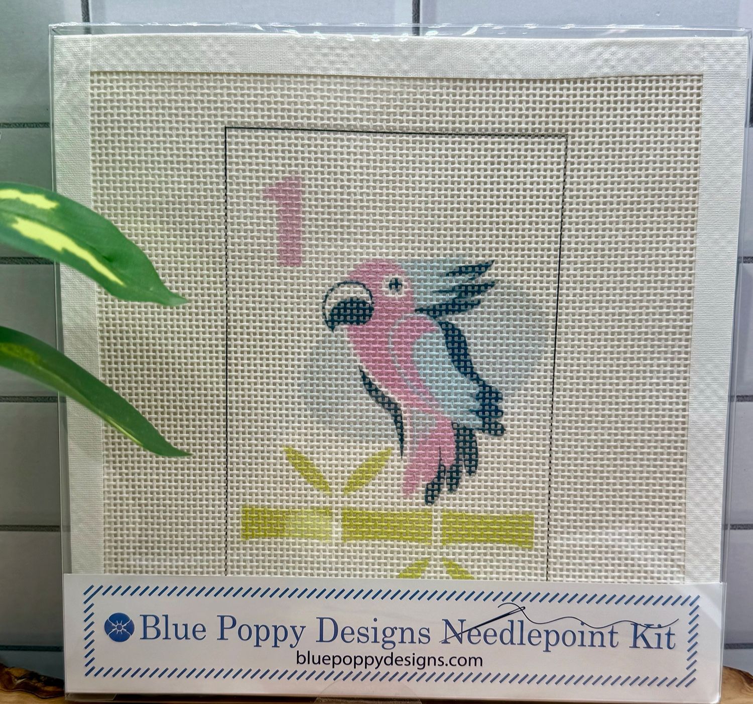 Mahj on Bird Bamboo Needlepoint Kit Parrot