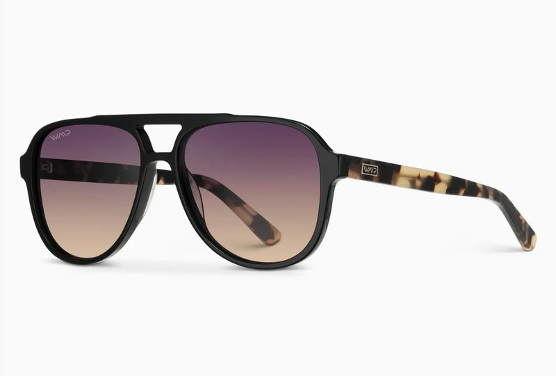 Indie Aviator Black Cream Tortoise Gradient