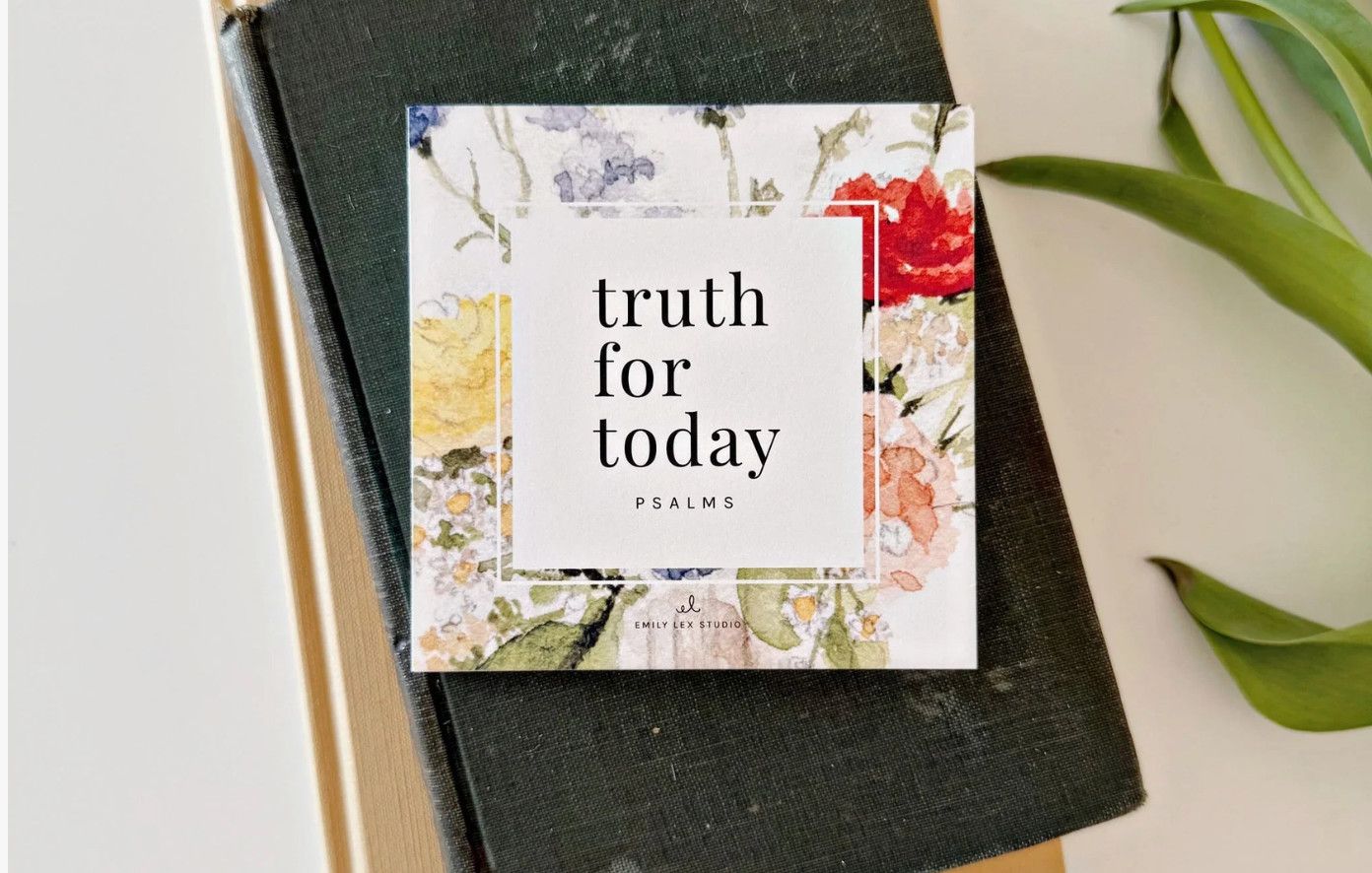 Truth For Today Psalms Cards
