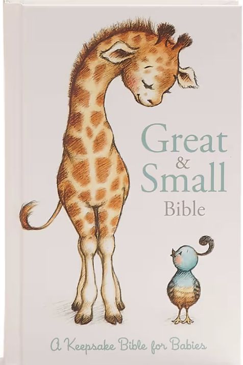 CSB Great and Small Bible