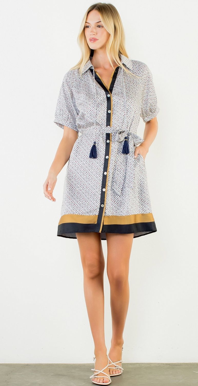 Long Sleeve Neutrals Button Down Mini Dress