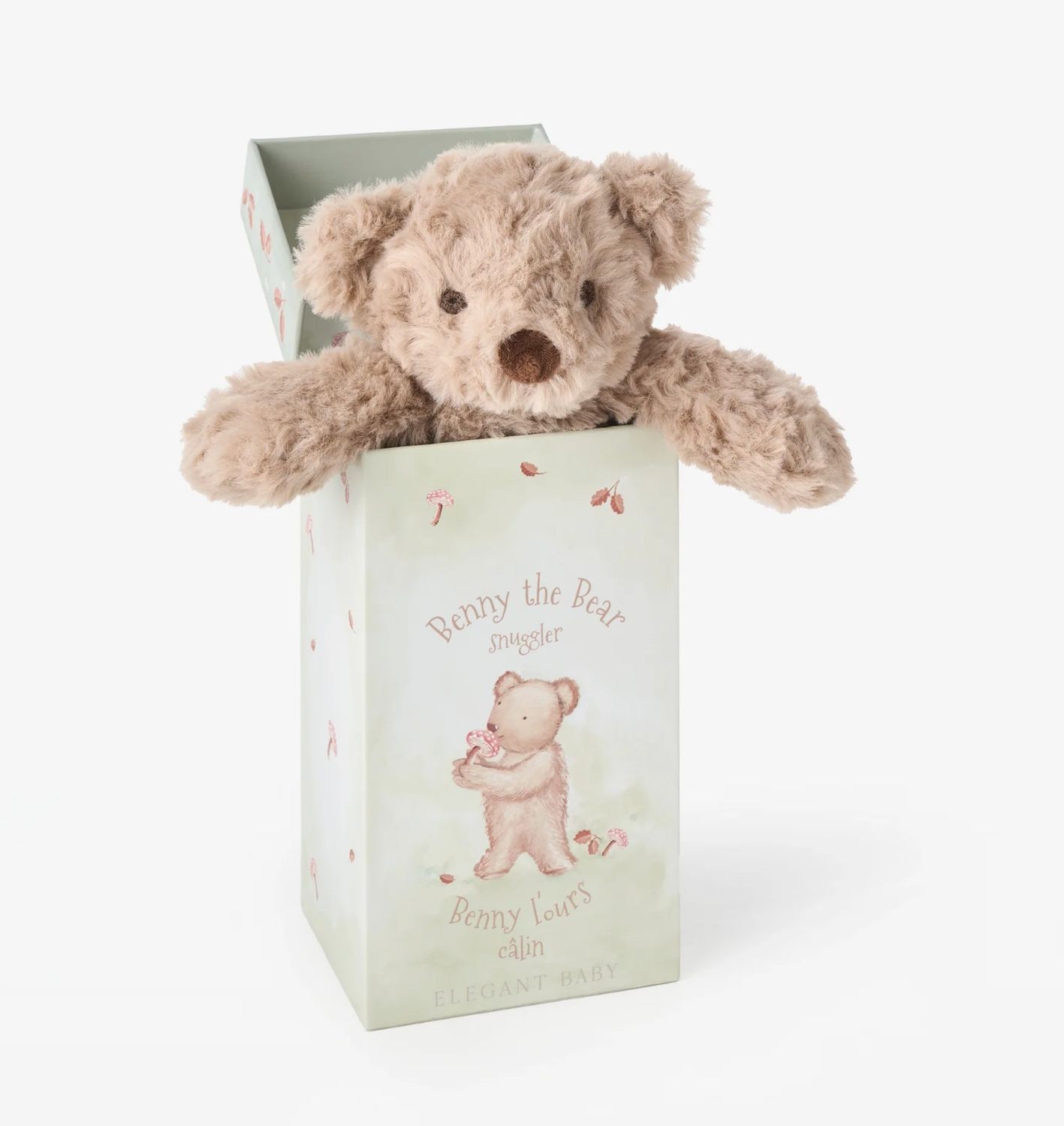 EB Bear Snuggler Boxed