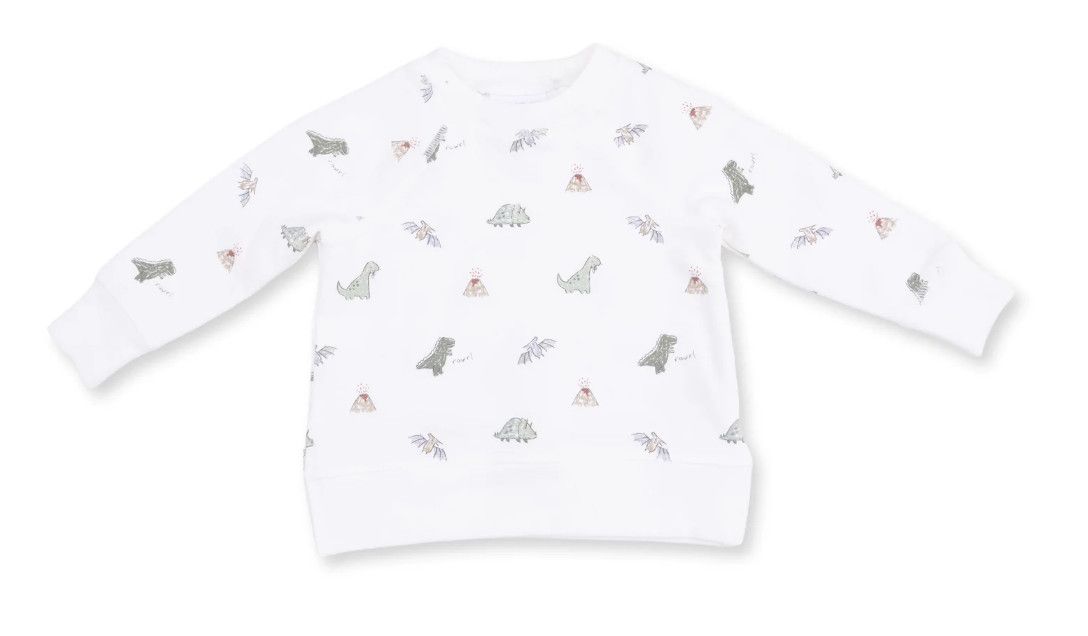 Dinos French Terry - Raglan Sweatshirt