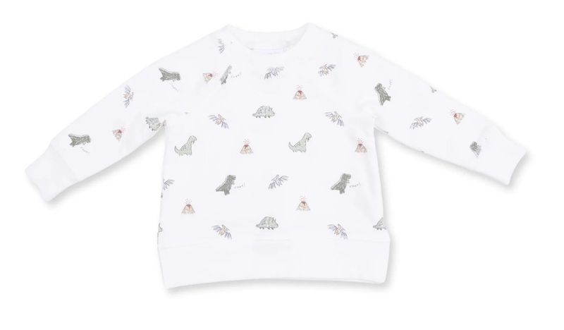 Dinos French Terry - Raglan Sweatshirt