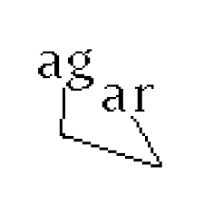 Agar Olfactory