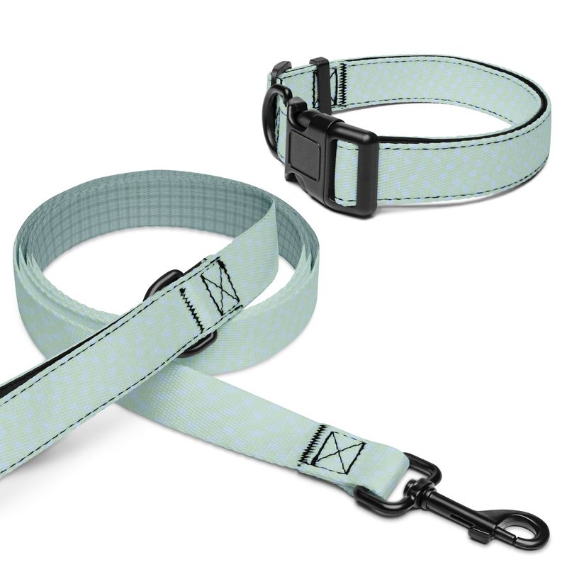 Green Print Pet Collar &amp; Leash