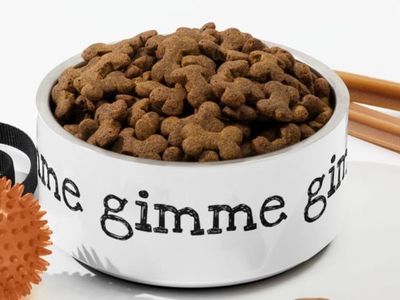 food/water bowls