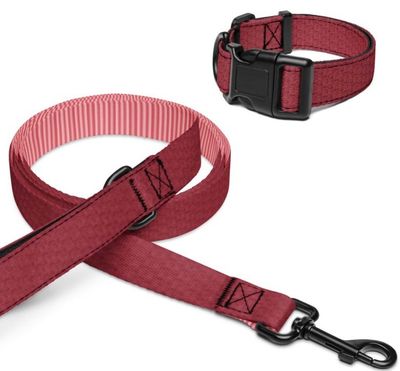 collar &amp; leash