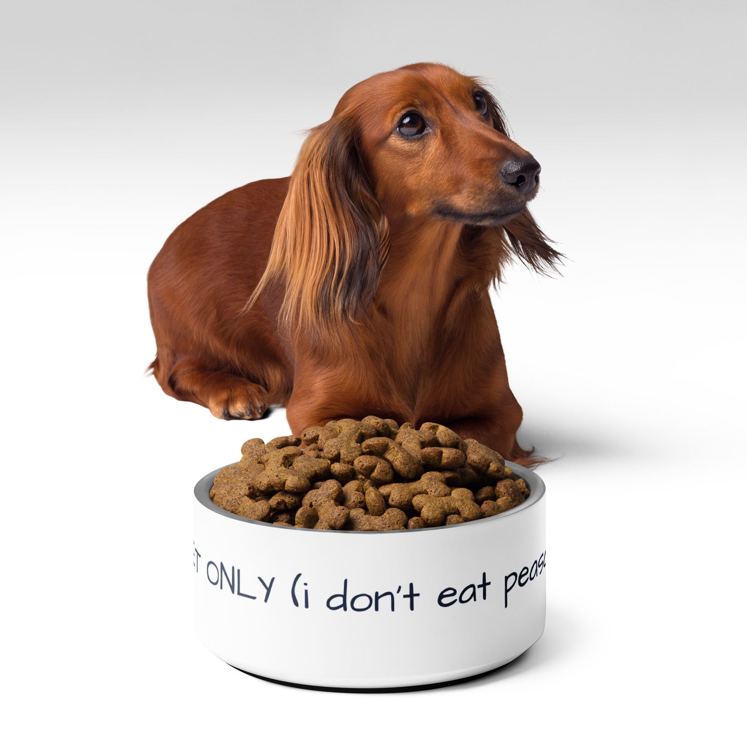 Gourmet Only Pet Bowl