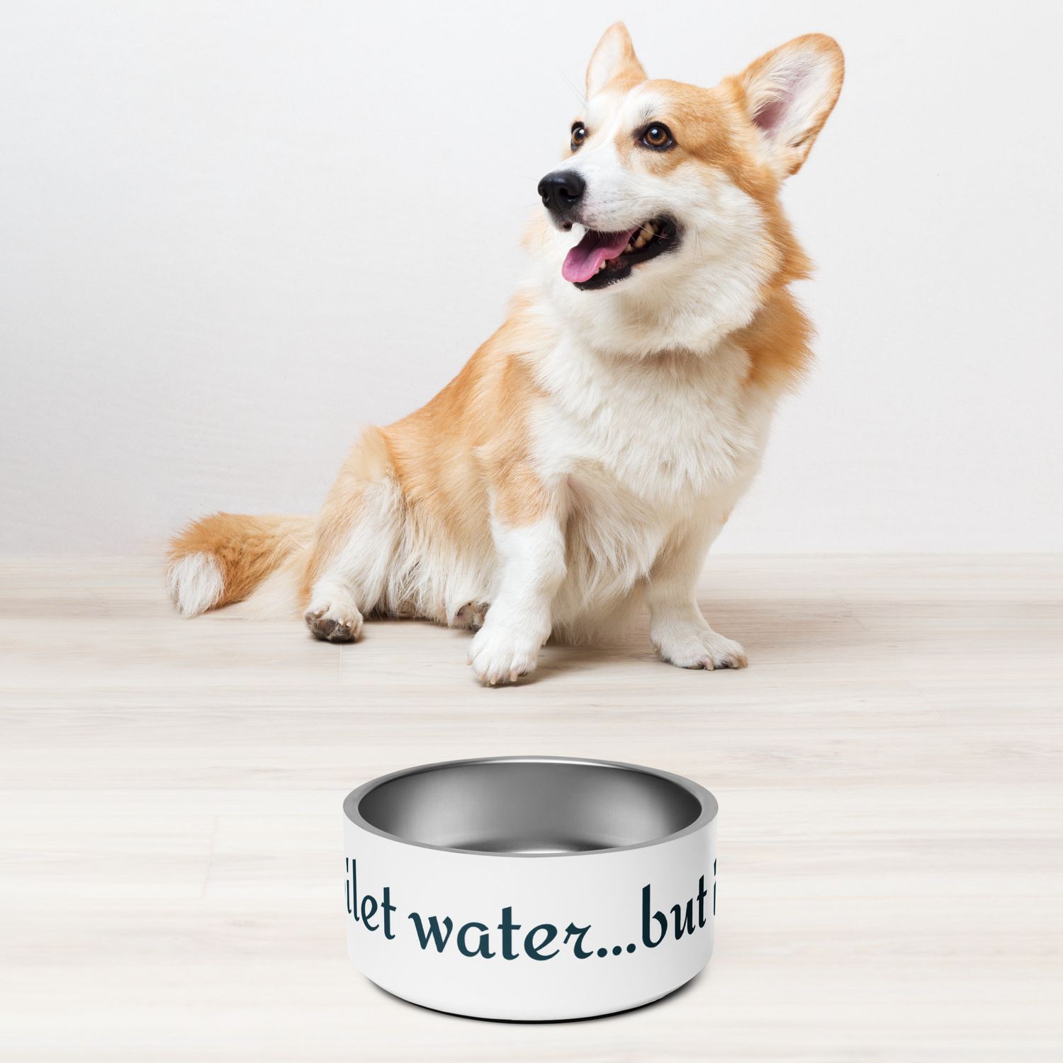 Not Toilet Water Pet Bowl