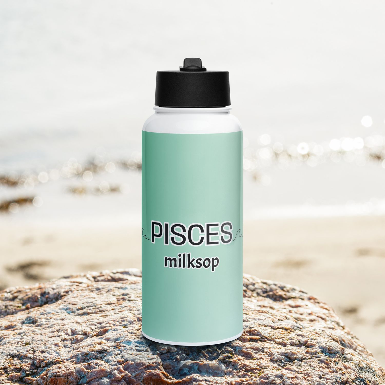 PISCES Milksop Stainless Steel Water Bottle With A Straw Lid