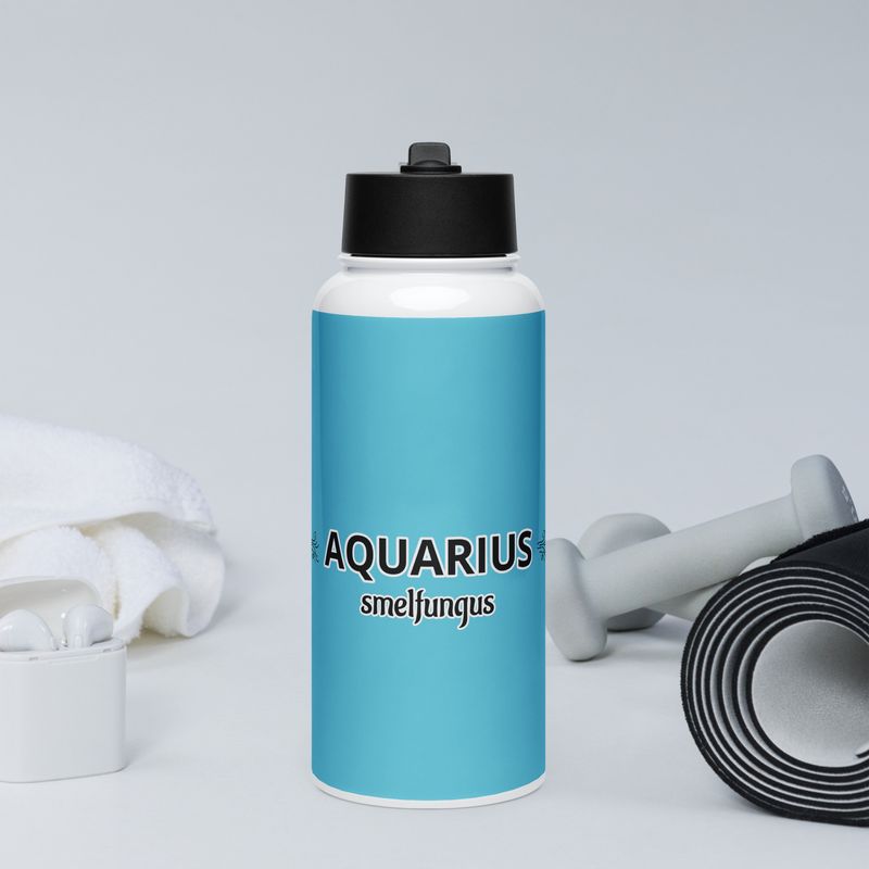 AQUARIUS Smelfungus Stainless Steel Water Bottle With A Straw Lid