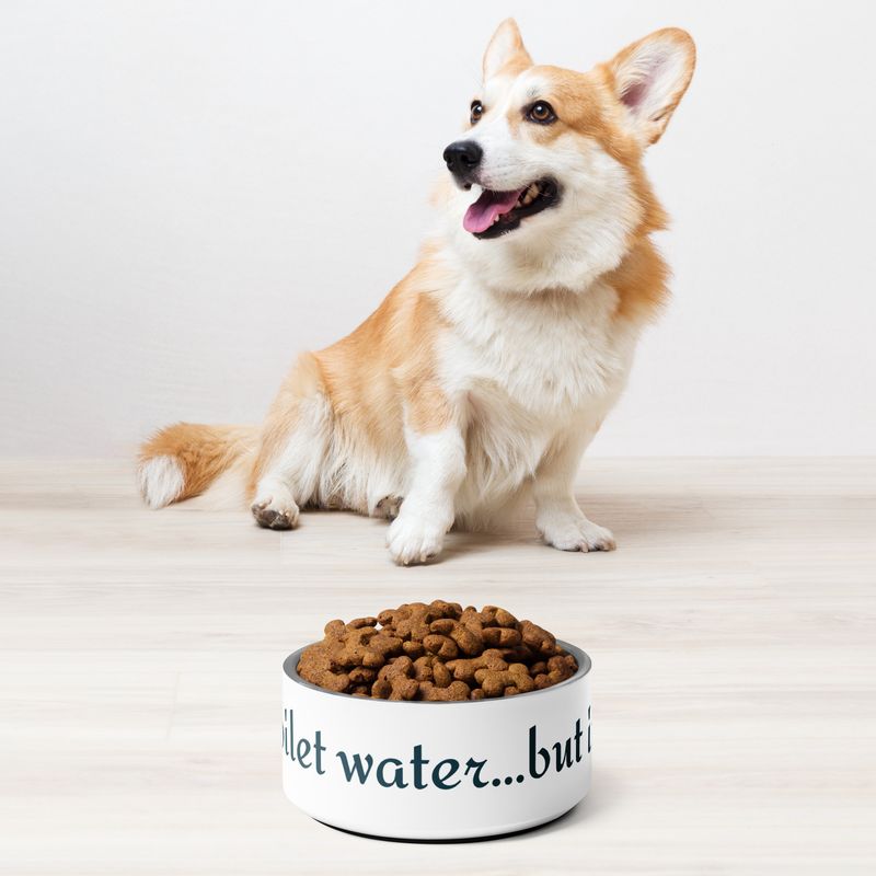 Not Toilet Water Pet Bowl