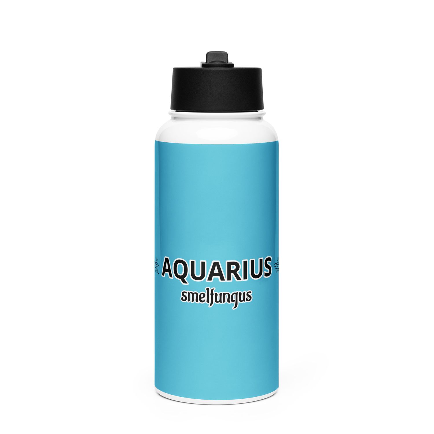 AQUARIUS Smelfungus Stainless Steel Water Bottle With A Straw Lid