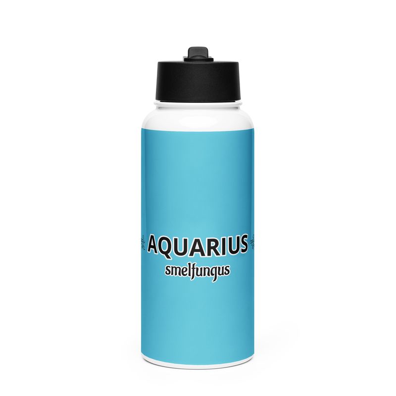 AQUARIUS Smelfungus Stainless Steel Water Bottle With A Straw Lid