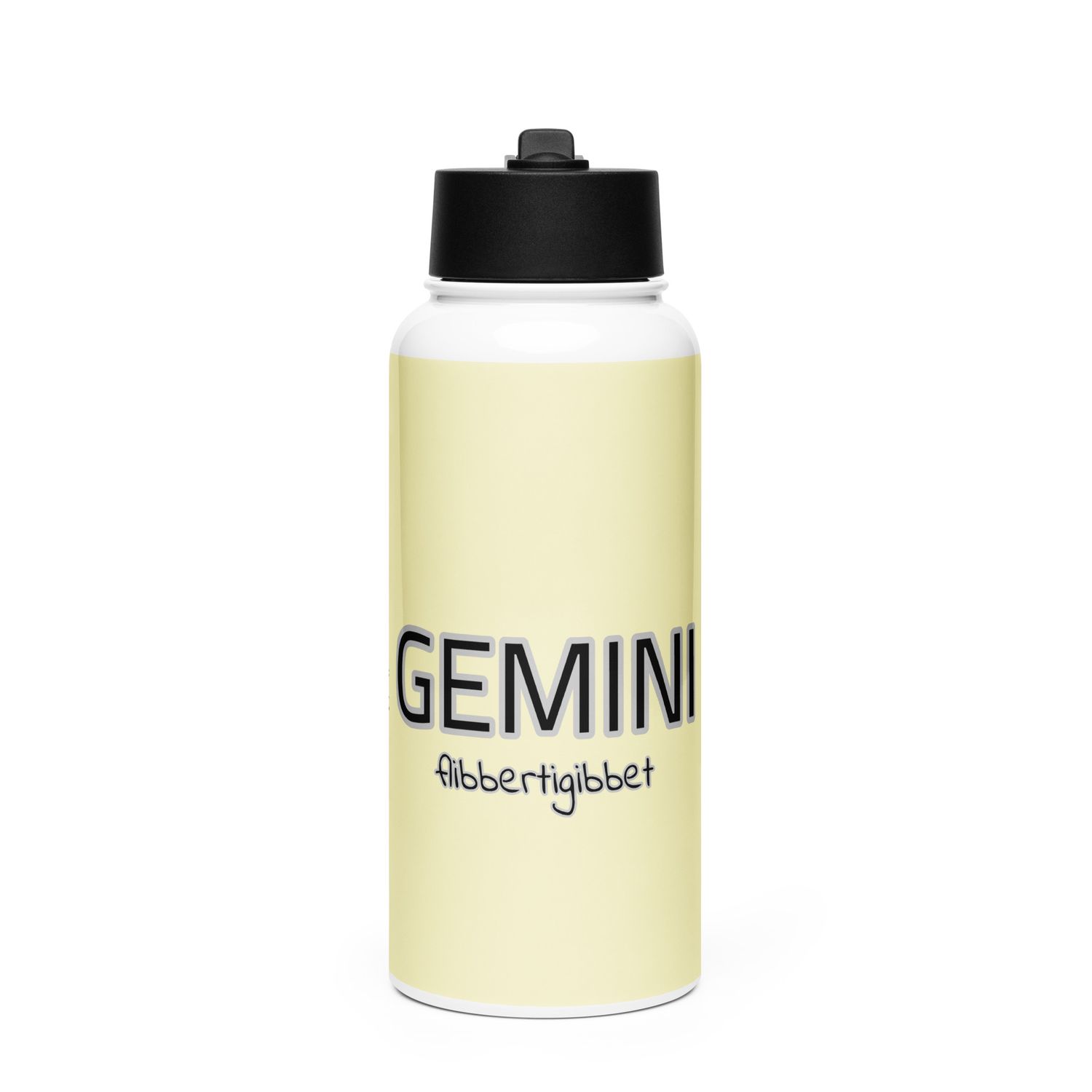 GEMINI Flibbertigibbet Stainless Steel Water Bottle With A Straw Lid