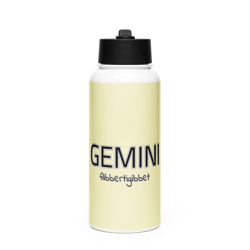 GEMINI Flibbertigibbet Stainless Steel Water Bottle With A Straw Lid