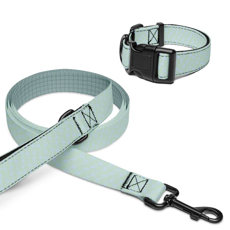 Blue Feathers Pet Collar &amp; Leash