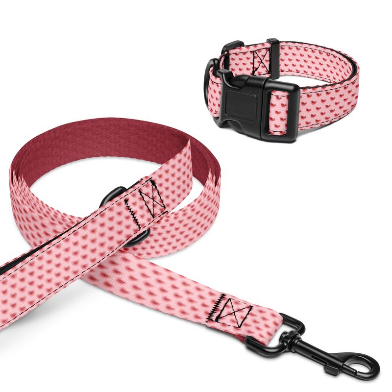 Red Bird Pet Collar &amp; Leash