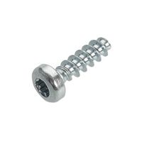 Jura T10 Torx Screw