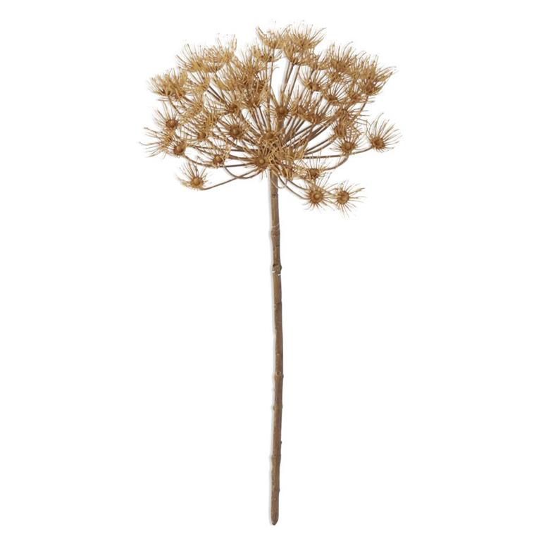 21" Tan Allium Stem