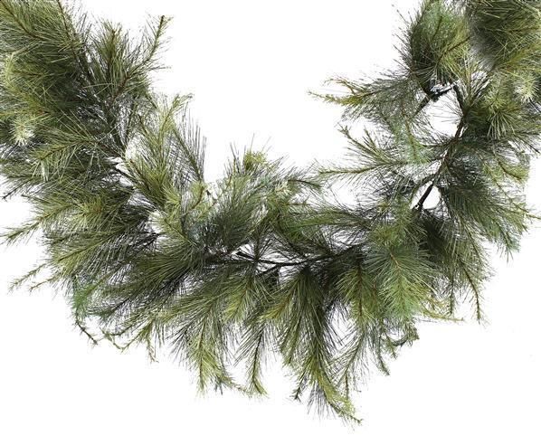 6' Deluxe Appalachian Pine Grlnd