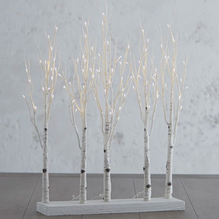 30" birch lighted grove