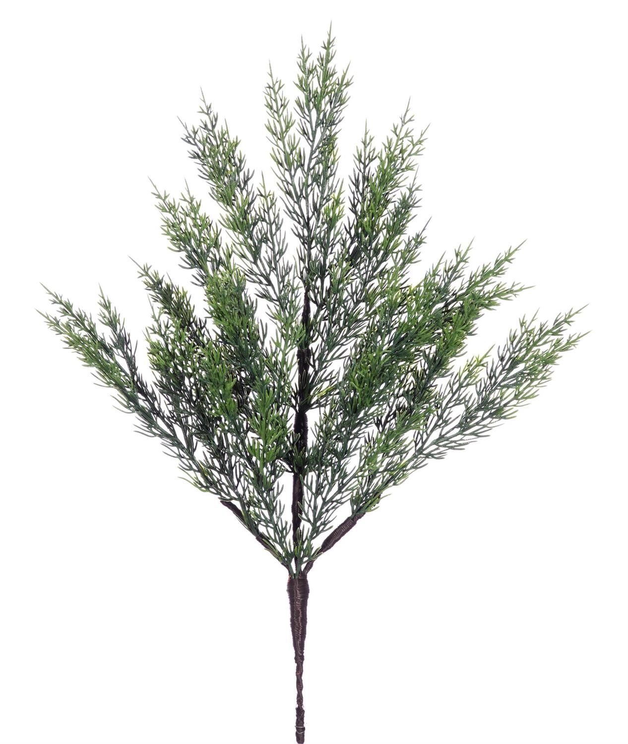 20" WHISPERING CEDAR SPRAY