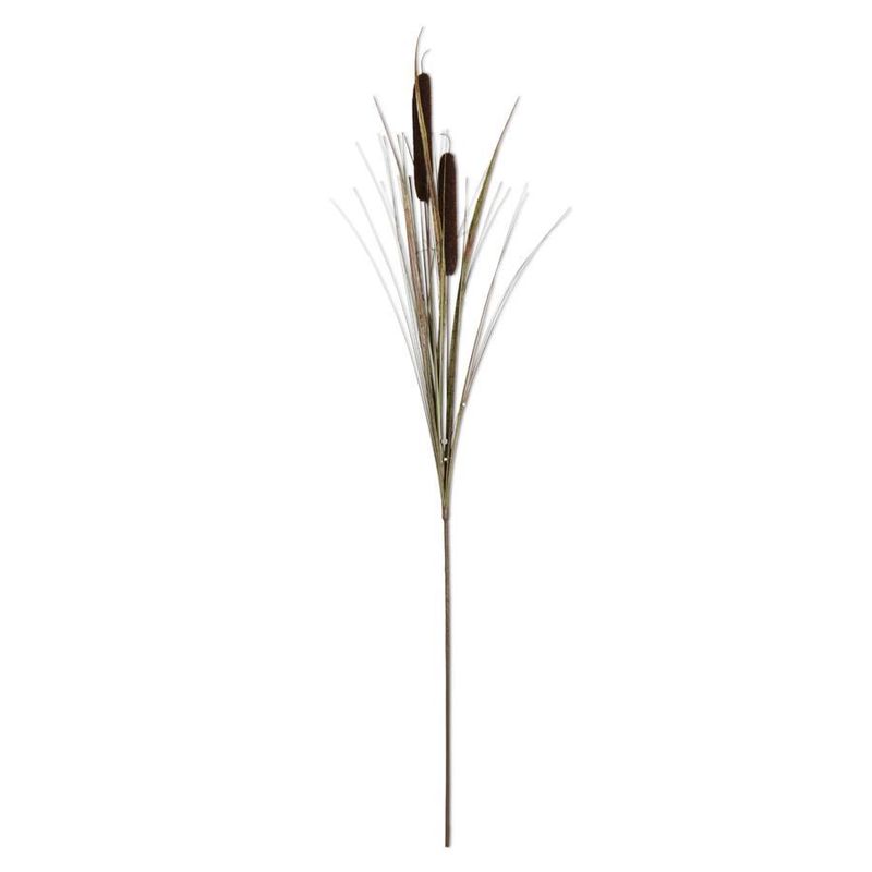 43" Dark Brown Cattail Stem