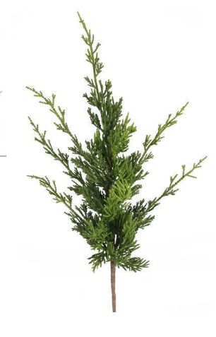 20.5" Arborvitae Spray