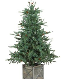 5.5'Spruce Tree in Box Stand