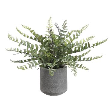 15&quot; Fern in cement Pot