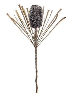 37.5" Glittered Banksia Spray