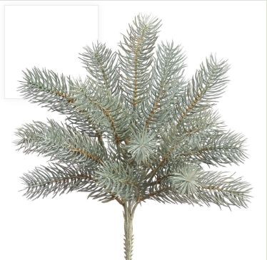 12" Round Tip Pine Bush x5 GRFS